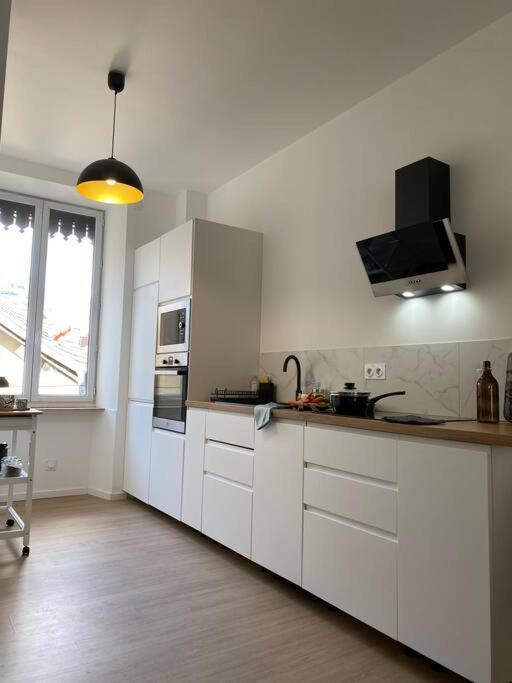 Le Condorcet. Charme Et Confort A Championnet Grenoble Eksteriør billede
